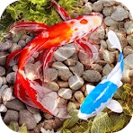 3D Fish Tank Live Wallpaper icon