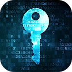 Connected Wifi Info icon