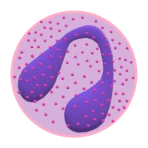 WBC Counter icon