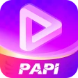 PAPI icon