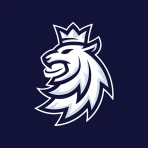 Český hokej icon