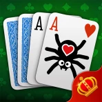 Spider Solitaire Online & Solo icon