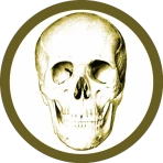 Anatomie Quiz Pro icon