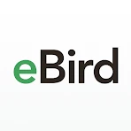 eBird by Cornell Lab icon