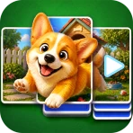 Video Solitaire: Live Cards icon
