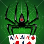 Spider Solitaire icon