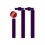 AI11: AI Cricket Predictions icon