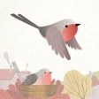 In volo con la matematica icon