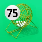 ビンゴ抽選機 icon