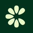 Clove: importa e salva icon