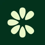 Clove: importa e salva icon