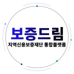 보증드림 icon