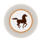 Pocket Bank icon