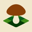 Mushroom Spot: sienet kartalla icon