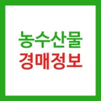 농수산물 실시간 경매 가격 정보 - 도매시장 icon