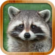 Kids Learn About Animals icon