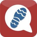 WandelZapp icon