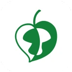 Digital soppkontroll icon