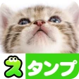 猫スタンプ(実写スタンプ) icon