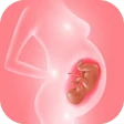 Spor graviditet og babyvekst icon