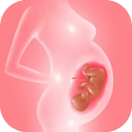 Seuraa raskautta ja vauvaa icon