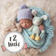 Baby Photo Editor Baby Pics icon