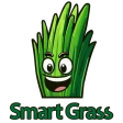 Smart Grass: Asystent trawnika