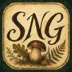 Sezon Na Grzyby icon