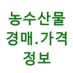 농수산물 실시간 경매 가격 정보 icon