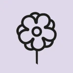 Majblomman icon