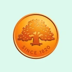 Swedbank företag icon