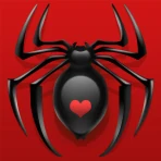 Spider Solitaire icon
