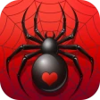 Jeu de Cartes Spider Solitaire icon