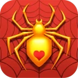 Spider Solitaire icon