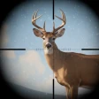 Trophy Hunter: rentoja jahteja icon