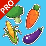 야채 플래시카드 PRO : 영어를 배우다 icon