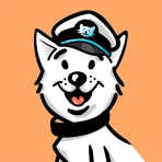RTSP Camera icon