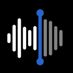 Lydopptak - Taleopptaker icon
