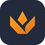 Valking.gg - Tracker icon