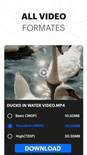 Video Downloader: Browser Home screenshot