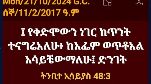 Amharic Bible screenshot