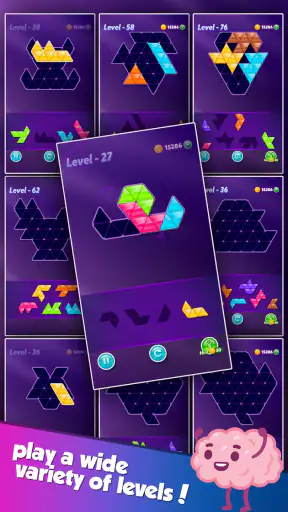Block! Triangle Puzzle:Tangram screenshot