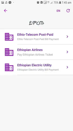 Commercial Bank of Ethiopia screenshot