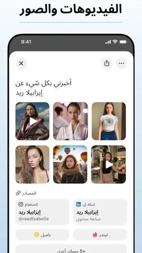 Deepsearch AI Search Assistant screenshot