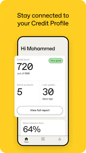 Etihad Credit Bureau screenshot