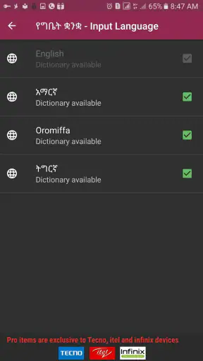 fyn ግዕዝ 2 screenshot