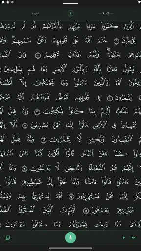 HifzPath: تلاوة وحفظ القرآن screenshot
