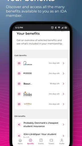 IDA Union DK screenshot