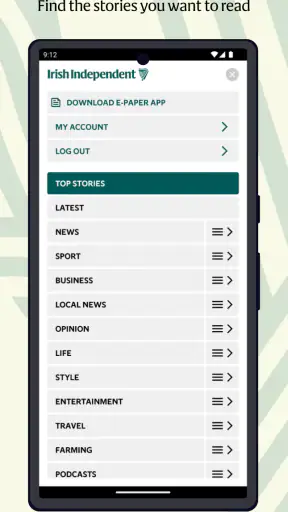 Irish Independent News screenshot