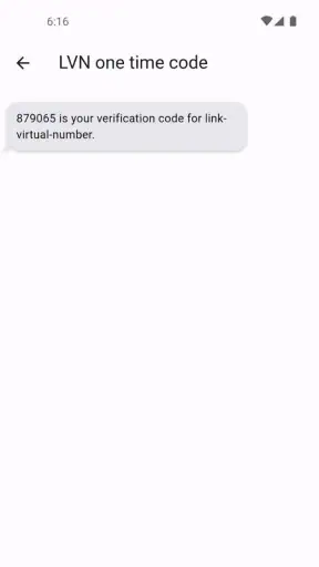 Link Virtual Number screenshot